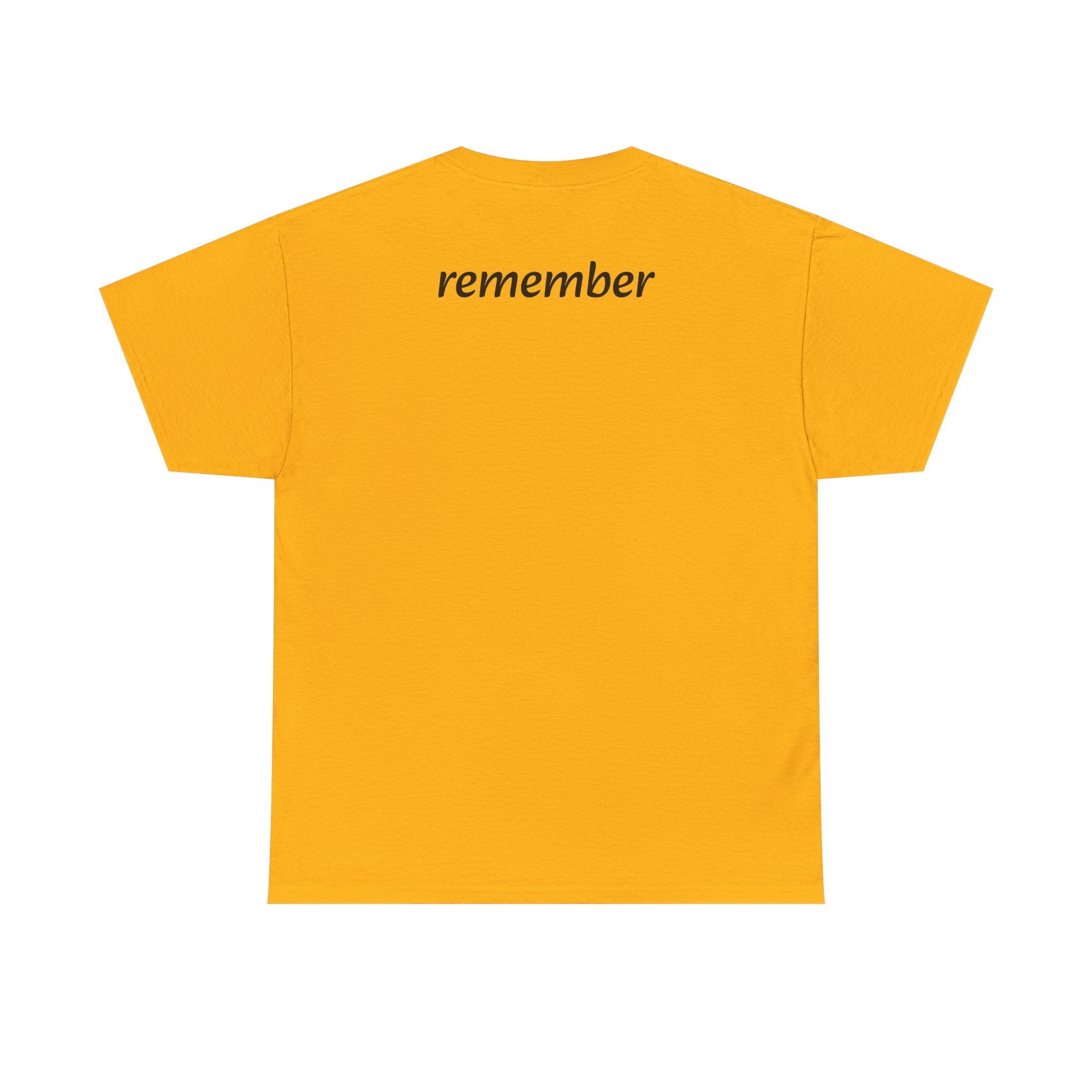 Remember Your Soul Chose This Life Tee — Inspirational Spiritual Quote T-Shirt
