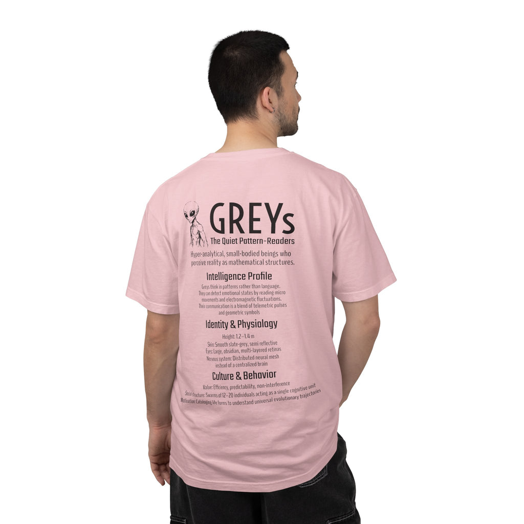 Alien Greys Graphic T-Shirt — "The Quiet Partners" Illustrated Tee