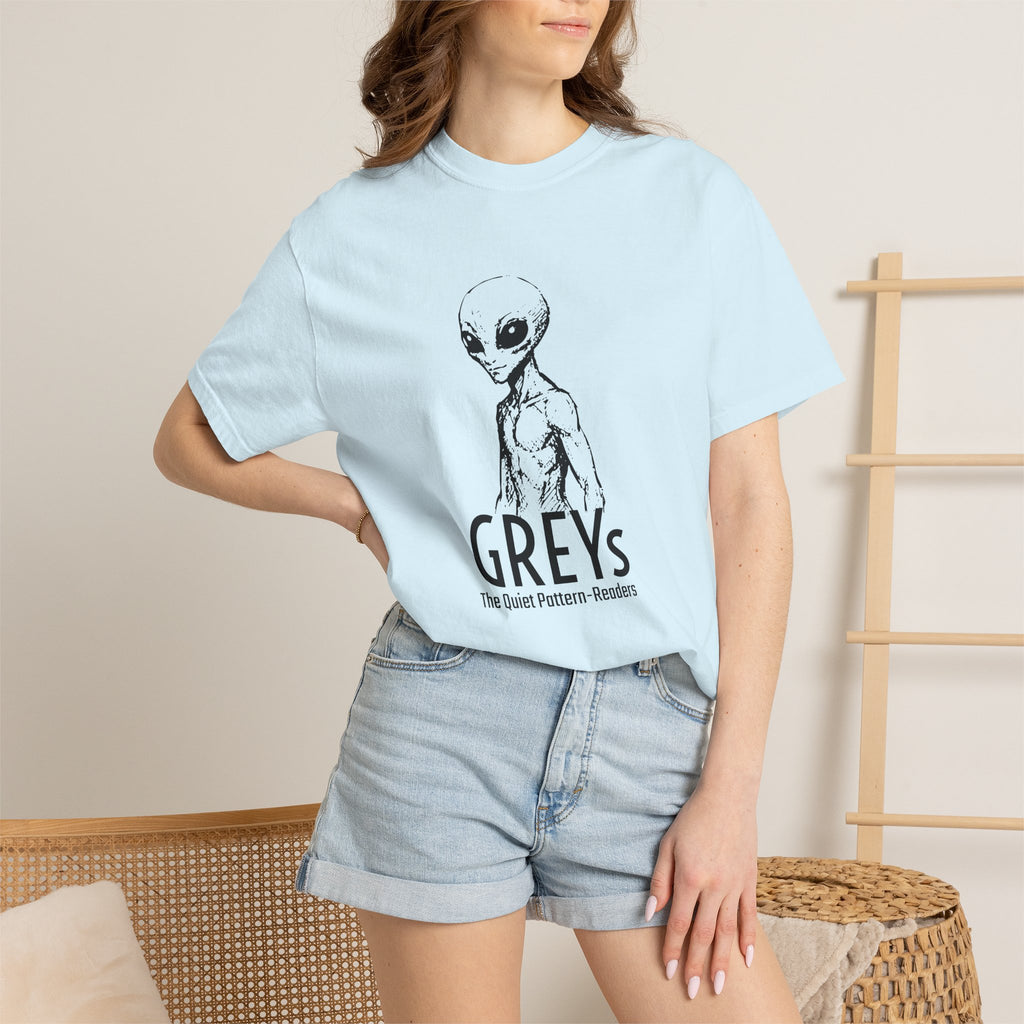 Alien Greys Graphic T-Shirt — "The Quiet Partners" Illustrated Tee