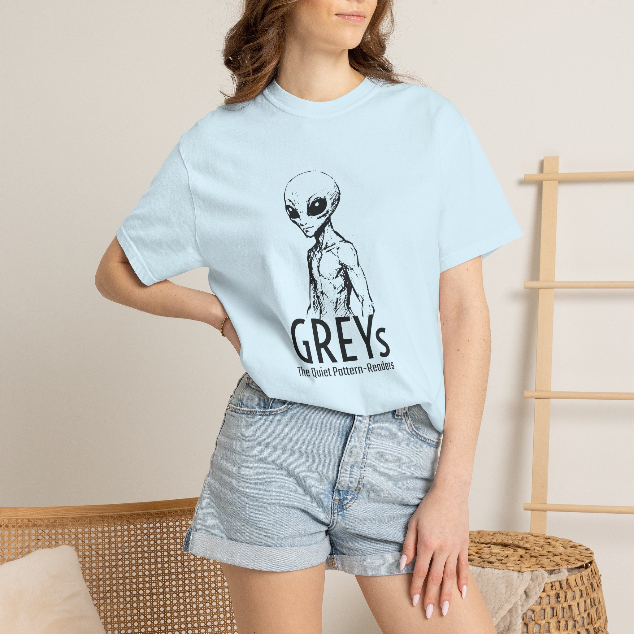 Alien Greys Graphic T-Shirt — "The Quiet Partners" Illustrated Tee