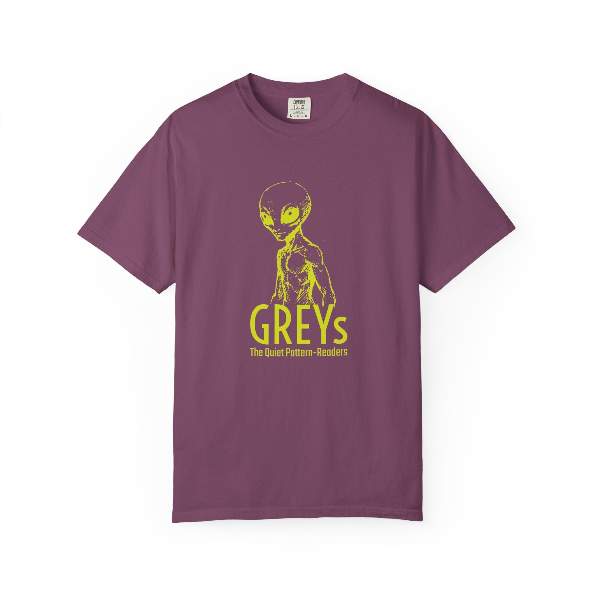 Alien Greys Graphic T-Shirt — "The Quiet Pattern Readers" Illustrated dark Tee