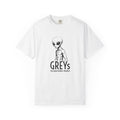 Alien Greys Graphic T-Shirt — "The Quiet Partners" Illustrated Tee