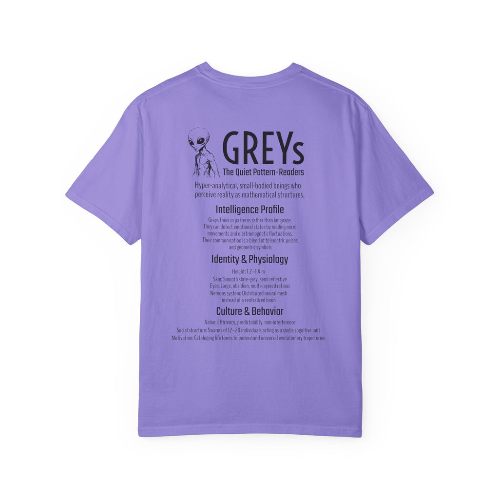 Alien Greys Graphic T-Shirt — "The Quiet Partners" Illustrated Tee