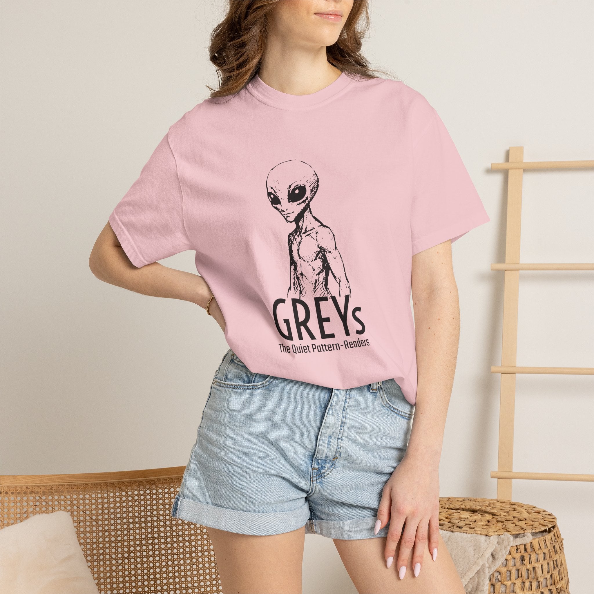 Alien Greys Graphic T-Shirt — "The Quiet Partners" Illustrated Tee