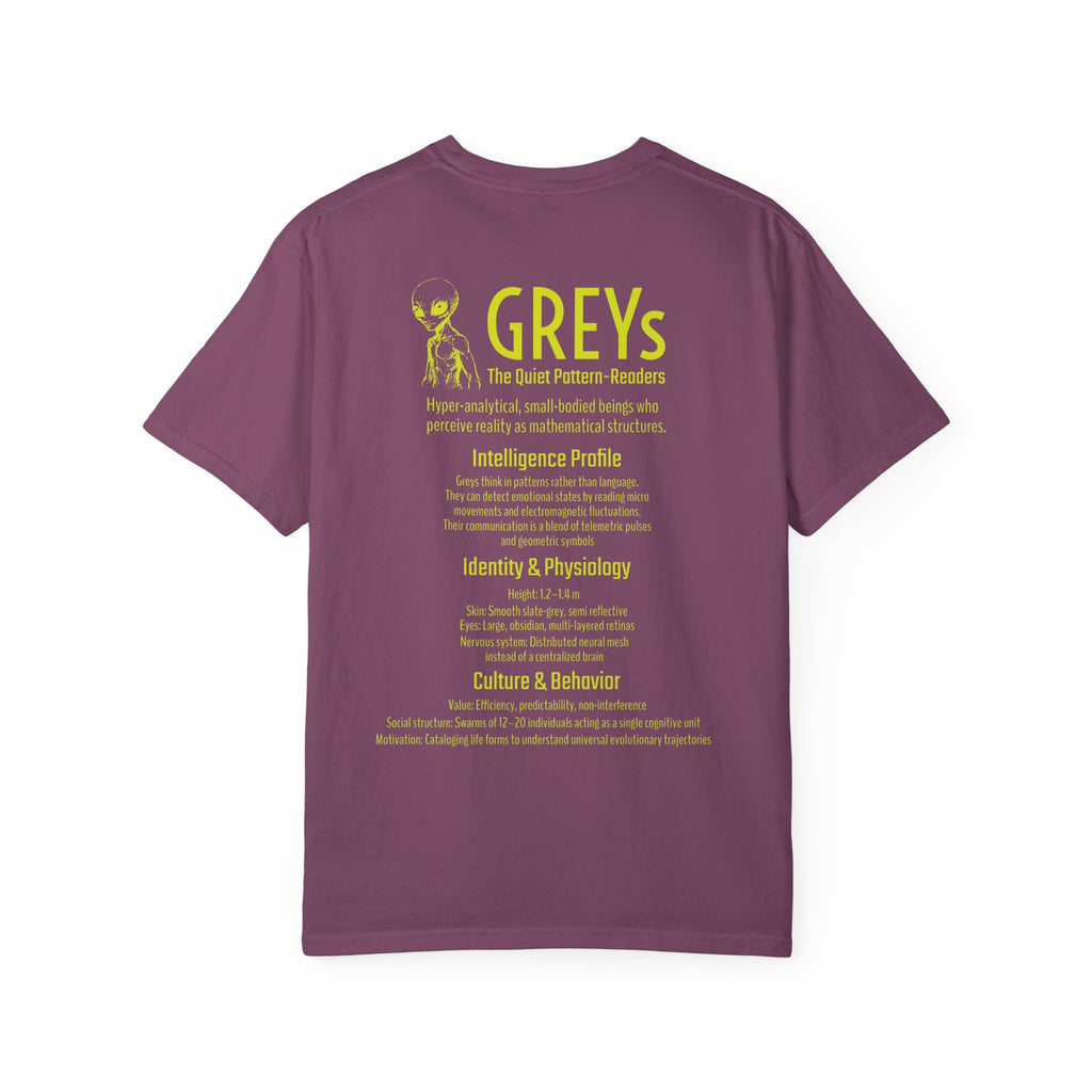 Alien Greys Graphic T-Shirt — "The Quiet Pattern Readers" Illustrated dark Tee