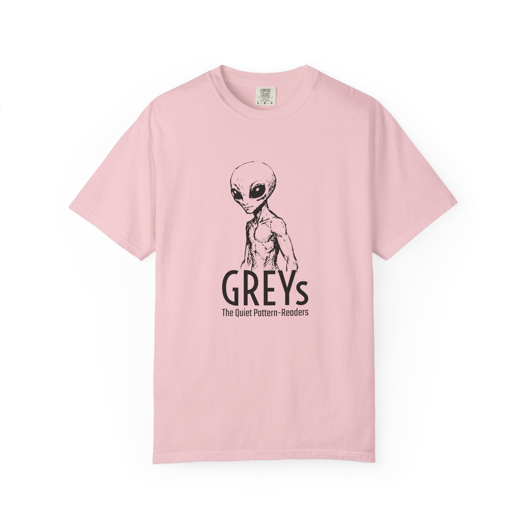 Alien Greys Graphic T-Shirt — "The Quiet Partners" Illustrated Tee