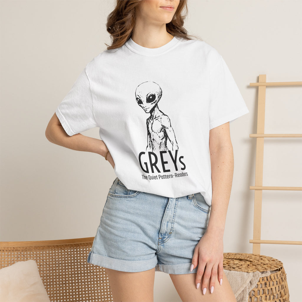 Alien Greys Graphic T-Shirt — "The Quiet Partners" Illustrated Tee