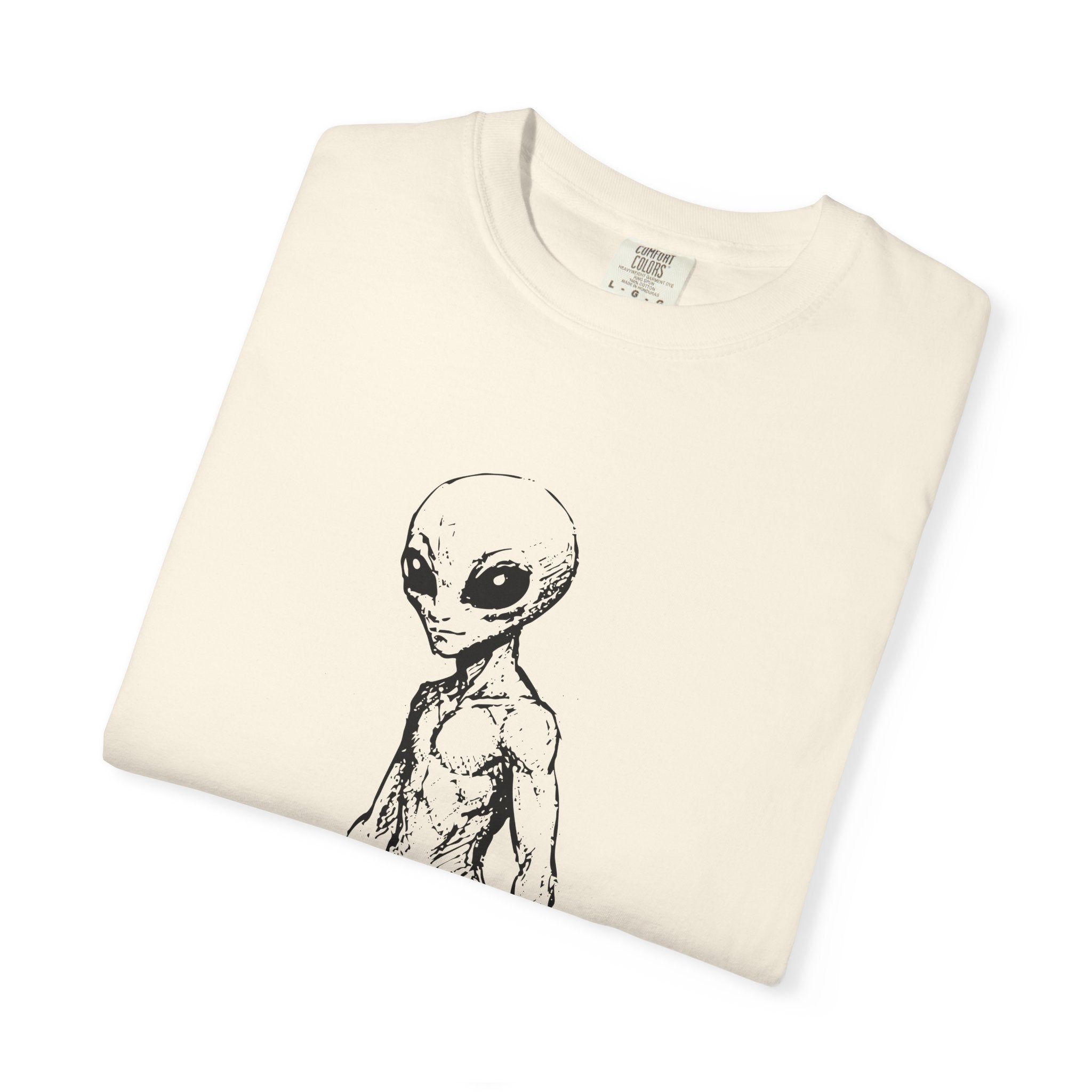 Alien Greys Graphic T-Shirt — "The Quiet Partners" Illustrated Tee
