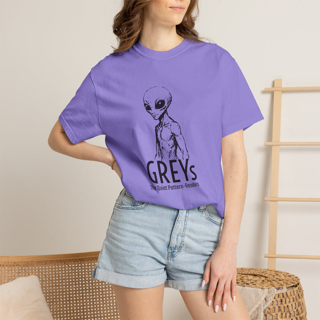 Alien Greys Graphic T-Shirt — "The Quiet Partners" Illustrated Tee