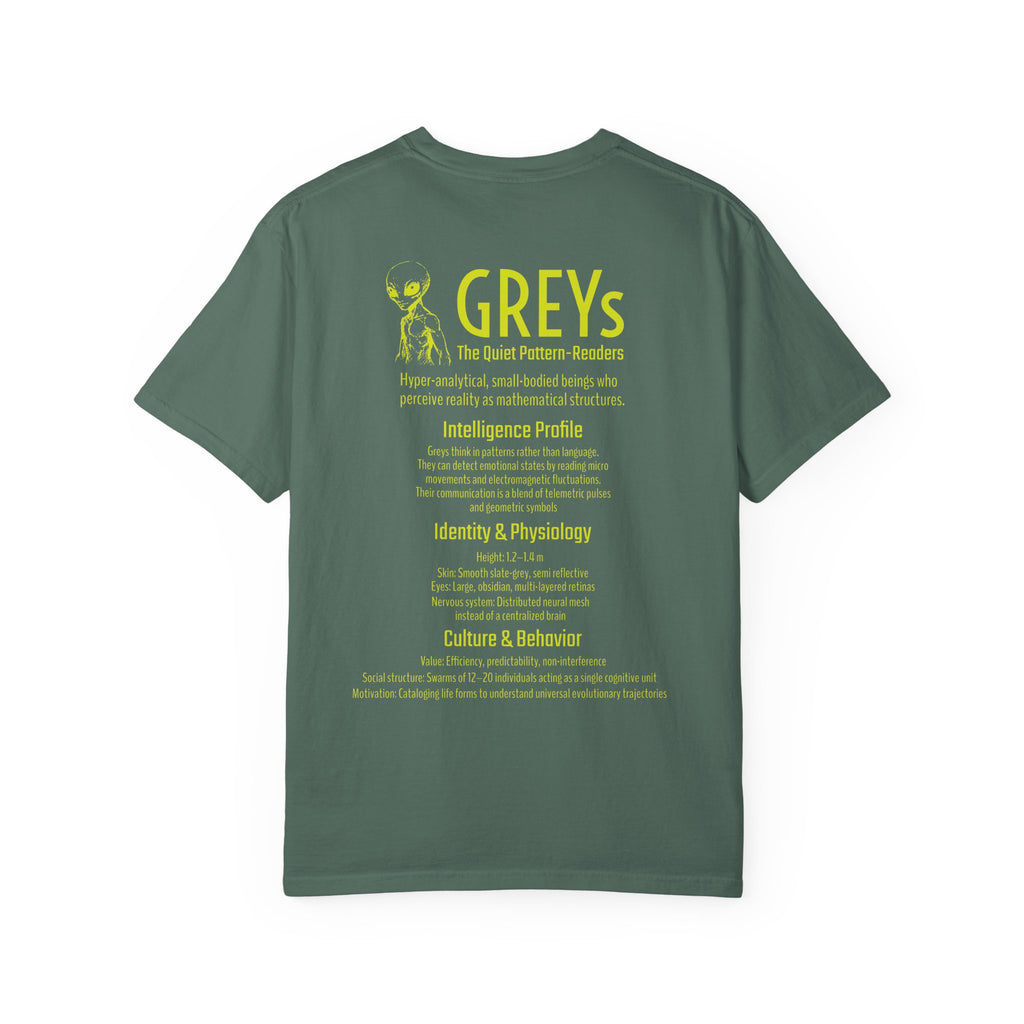 Alien Greys Graphic T-Shirt — "The Quiet Pattern Readers" Illustrated dark Tee