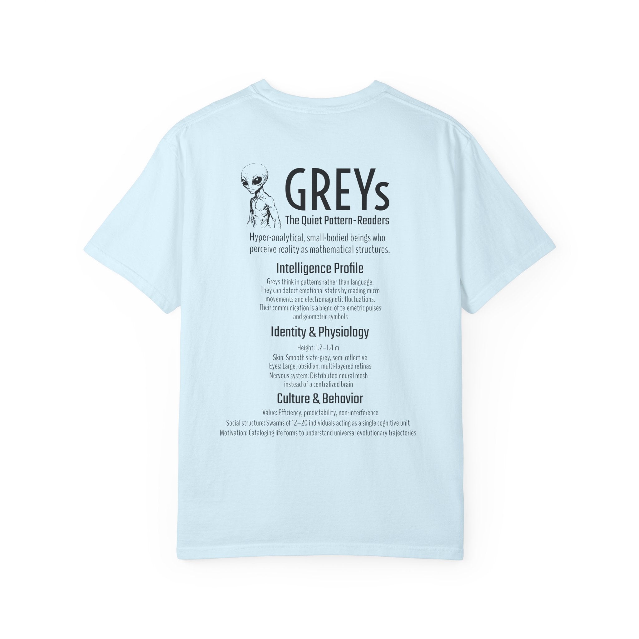 Alien Greys Graphic T-Shirt — "The Quiet Partners" Illustrated Tee