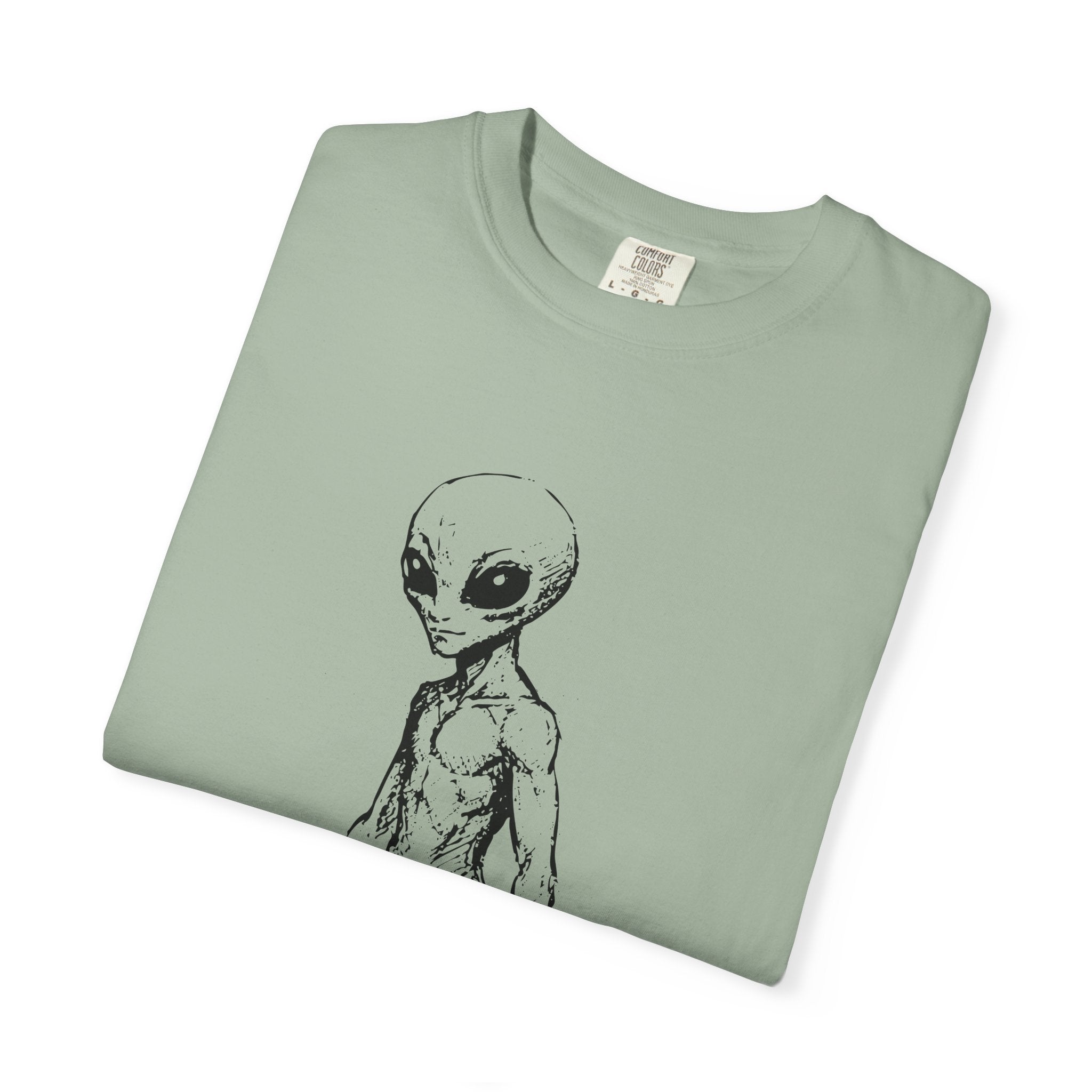 Alien Greys Graphic T-Shirt — "The Quiet Partners" Illustrated Tee
