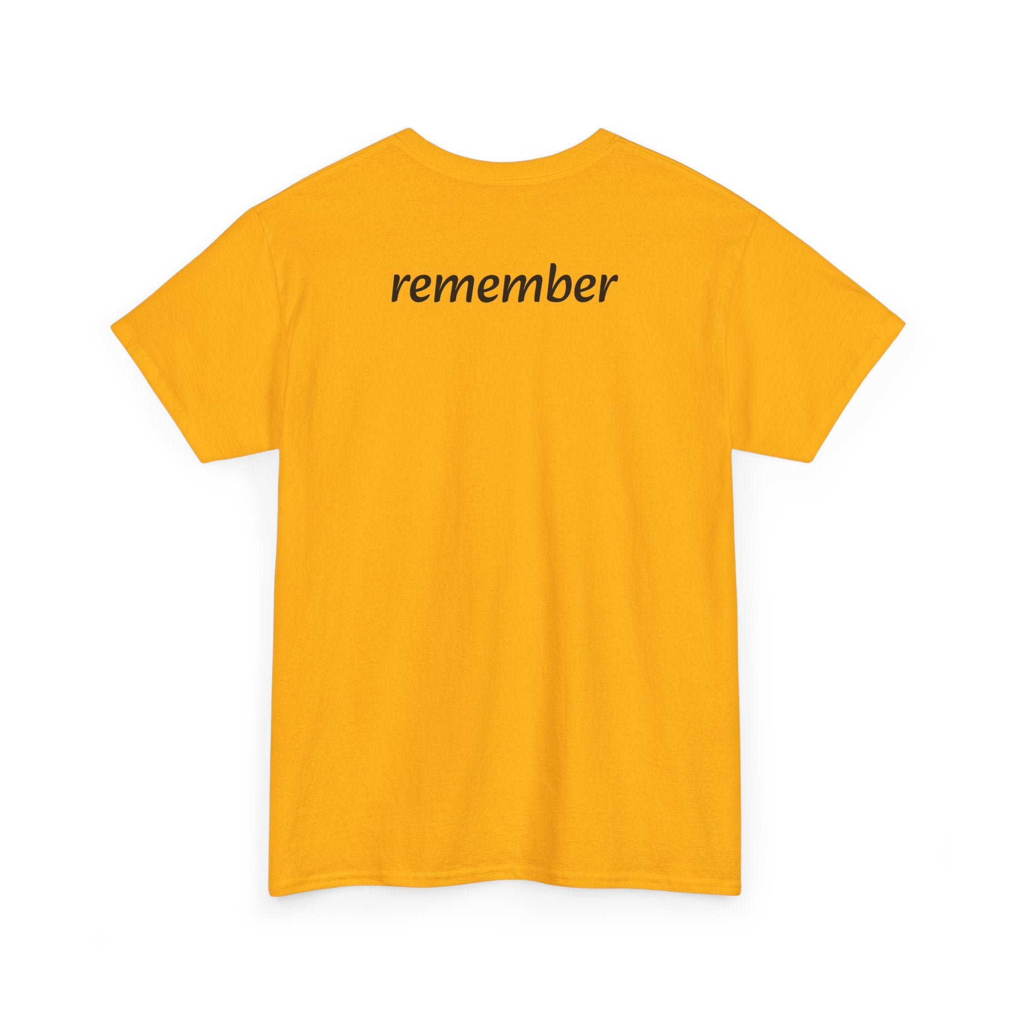 Remember Your Soul Chose This Life Tee — Inspirational Spiritual Quote T-Shirt