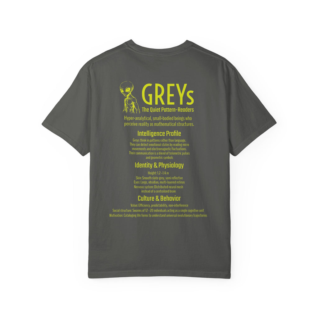 Alien Greys Graphic T-Shirt — "The Quiet Pattern Readers" Illustrated dark Tee