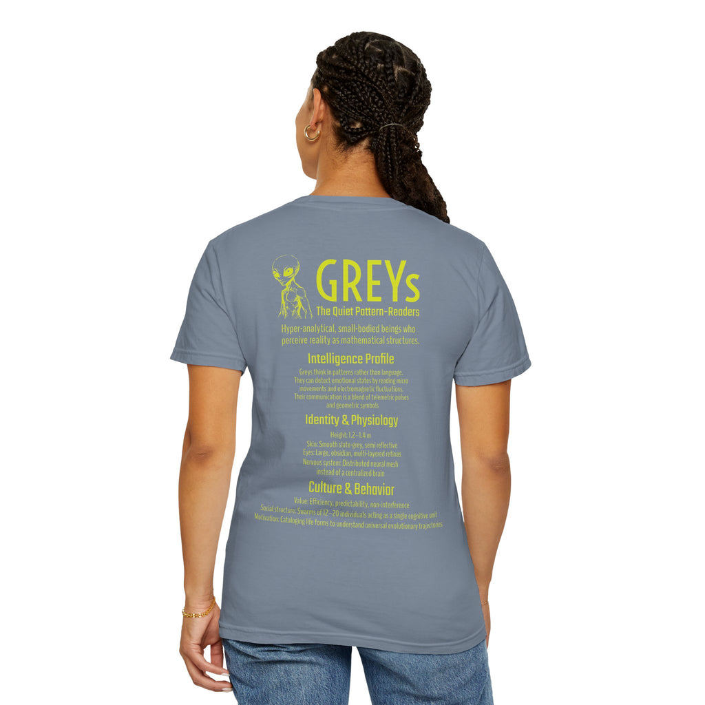 Alien Greys Graphic T-Shirt — "The Quiet Pattern Readers" Illustrated dark Tee