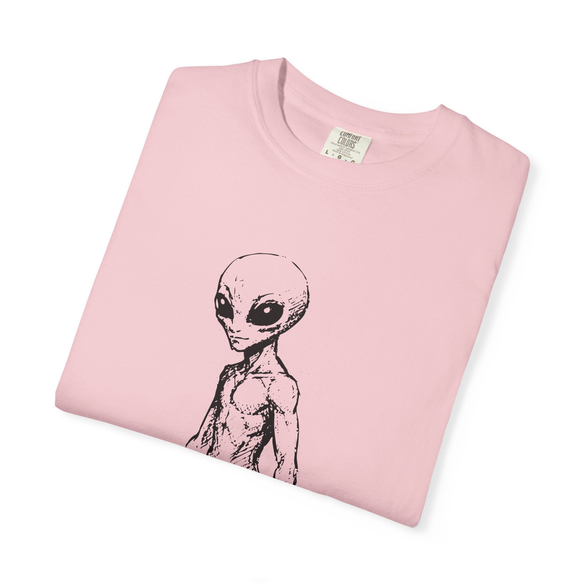 Alien Greys Graphic T-Shirt — "The Quiet Partners" Illustrated Tee