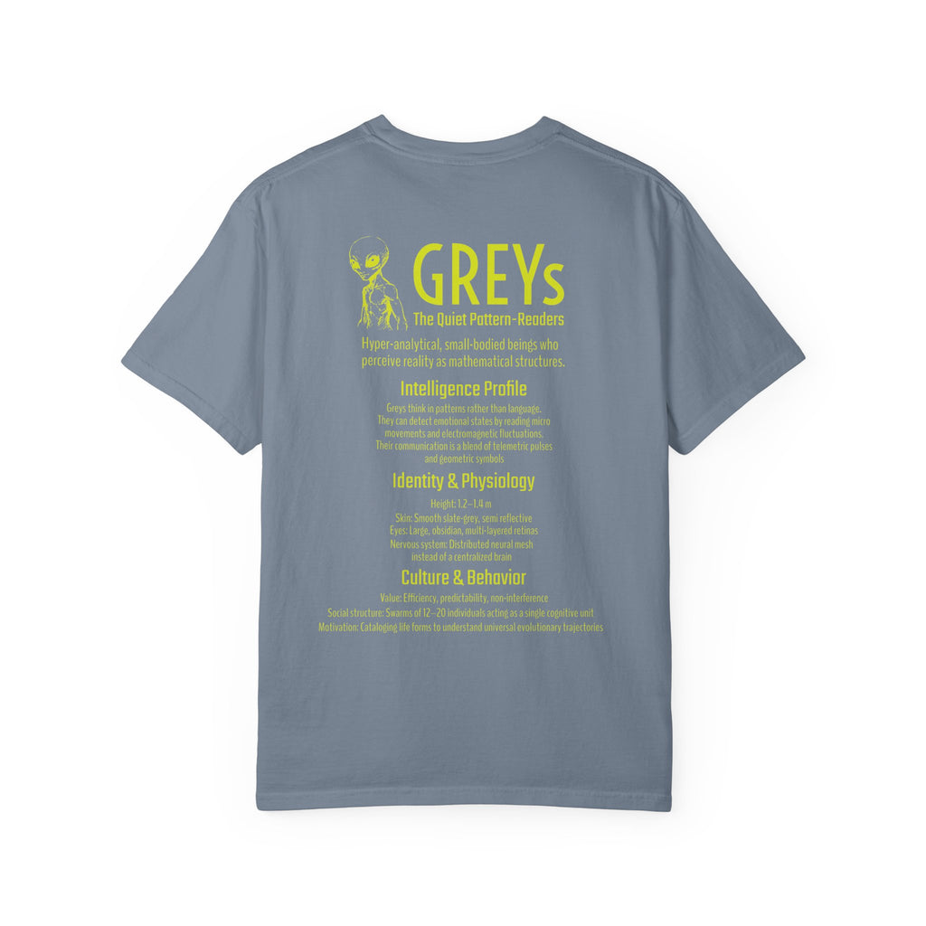 Alien Greys Graphic T-Shirt — "The Quiet Pattern Readers" Illustrated dark Tee