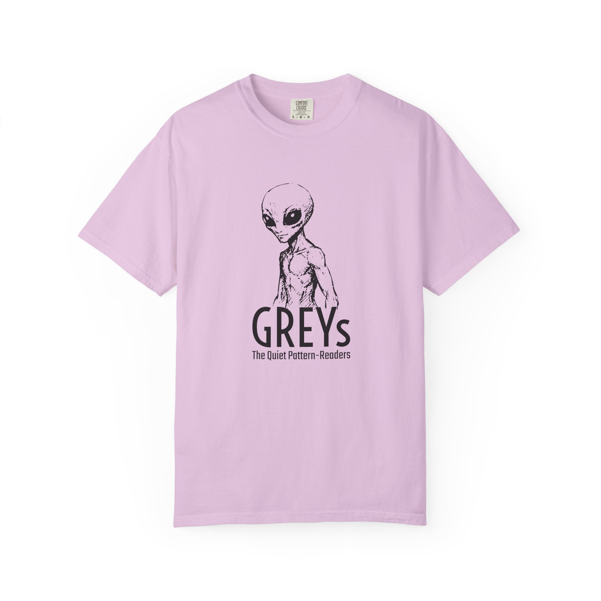 Alien Greys Graphic T-Shirt — "The Quiet Partners" Illustrated Tee