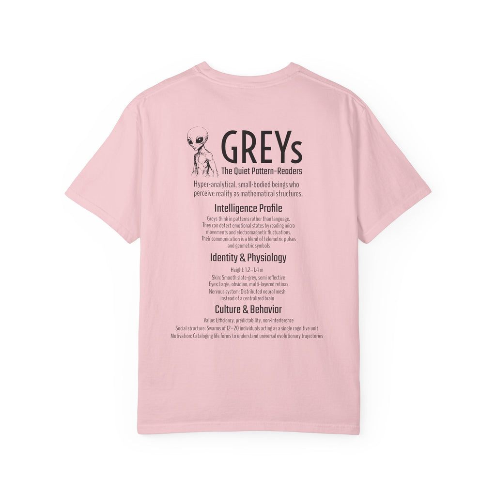 Alien Greys Graphic T-Shirt — "The Quiet Partners" Illustrated Tee
