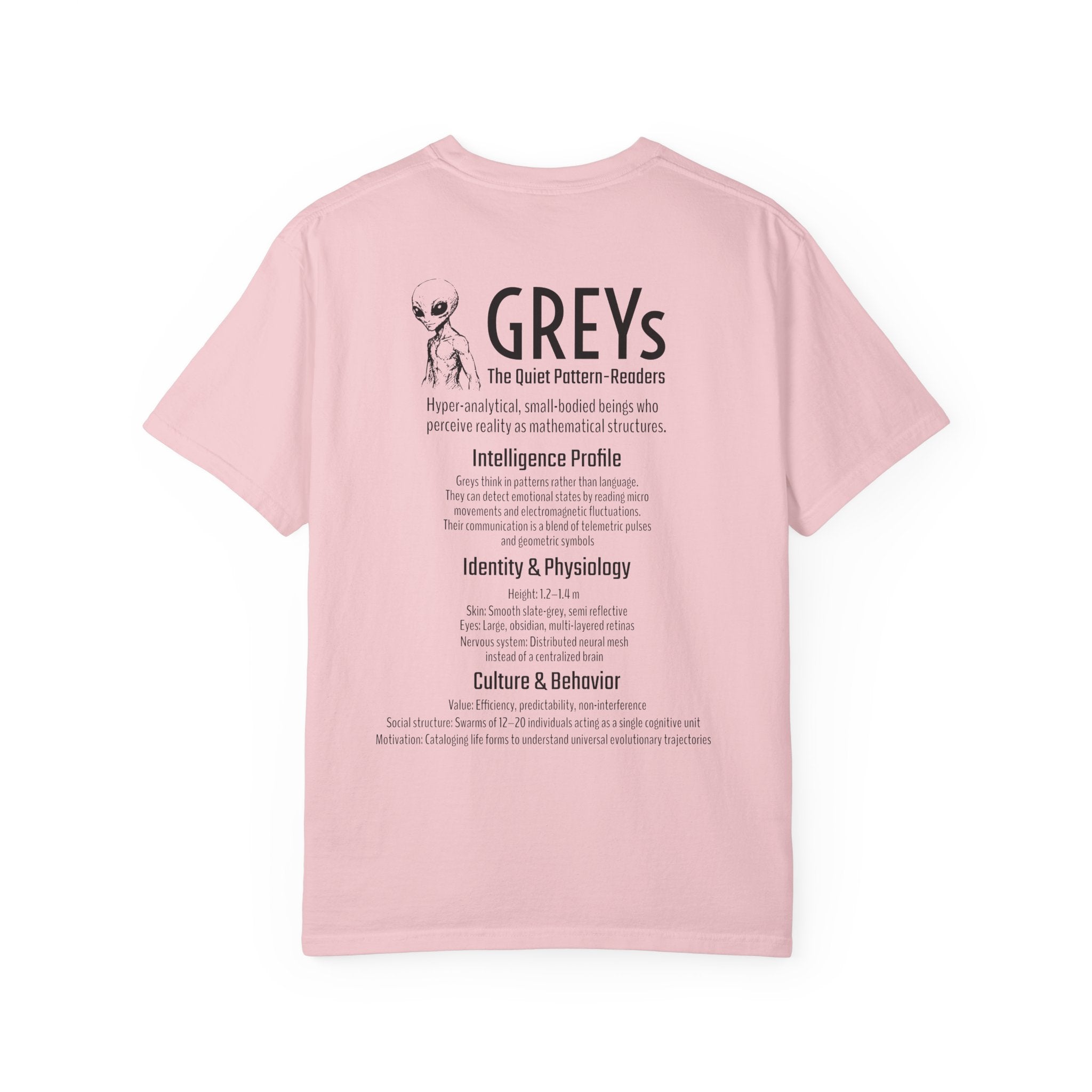 Alien Greys Graphic T-Shirt — "The Quiet Partners" Illustrated Tee