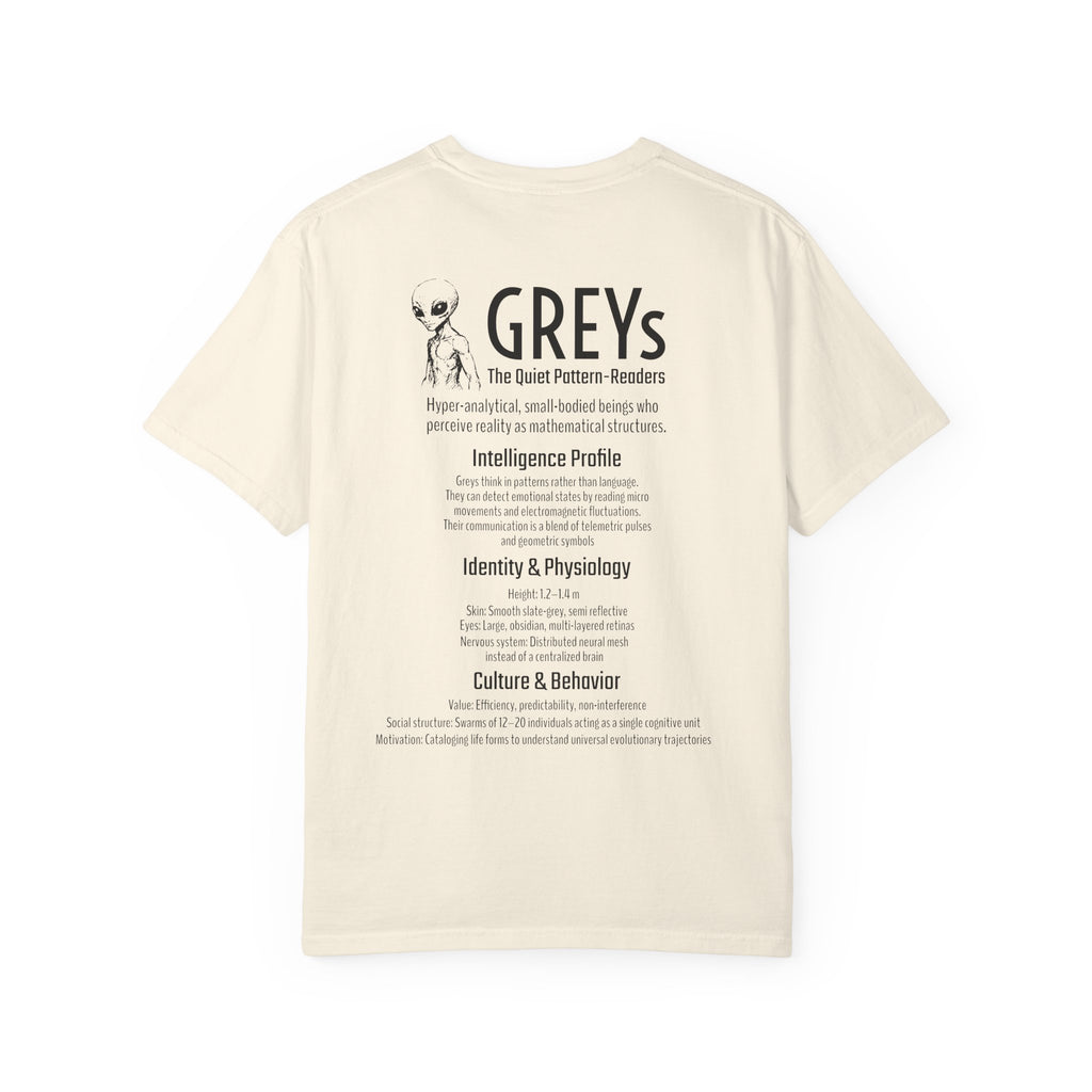 Alien Greys Graphic T-Shirt — "The Quiet Partners" Illustrated Tee