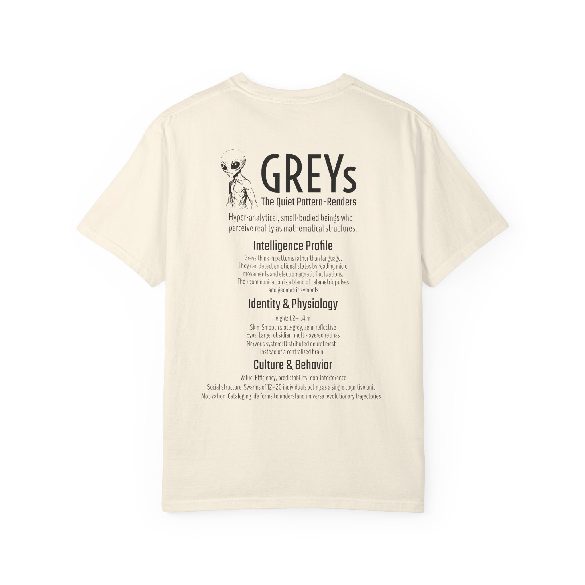 Alien Greys Graphic T-Shirt — "The Quiet Partners" Illustrated Tee
