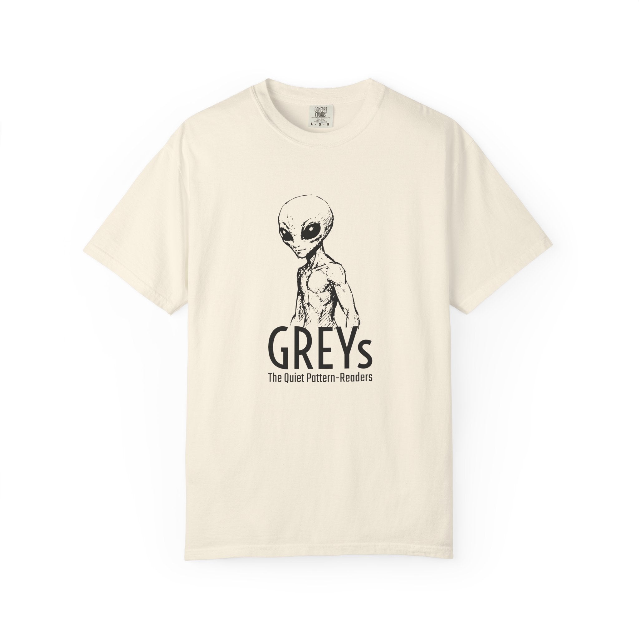 Alien Greys Graphic T-Shirt — "The Quiet Partners" Illustrated Tee