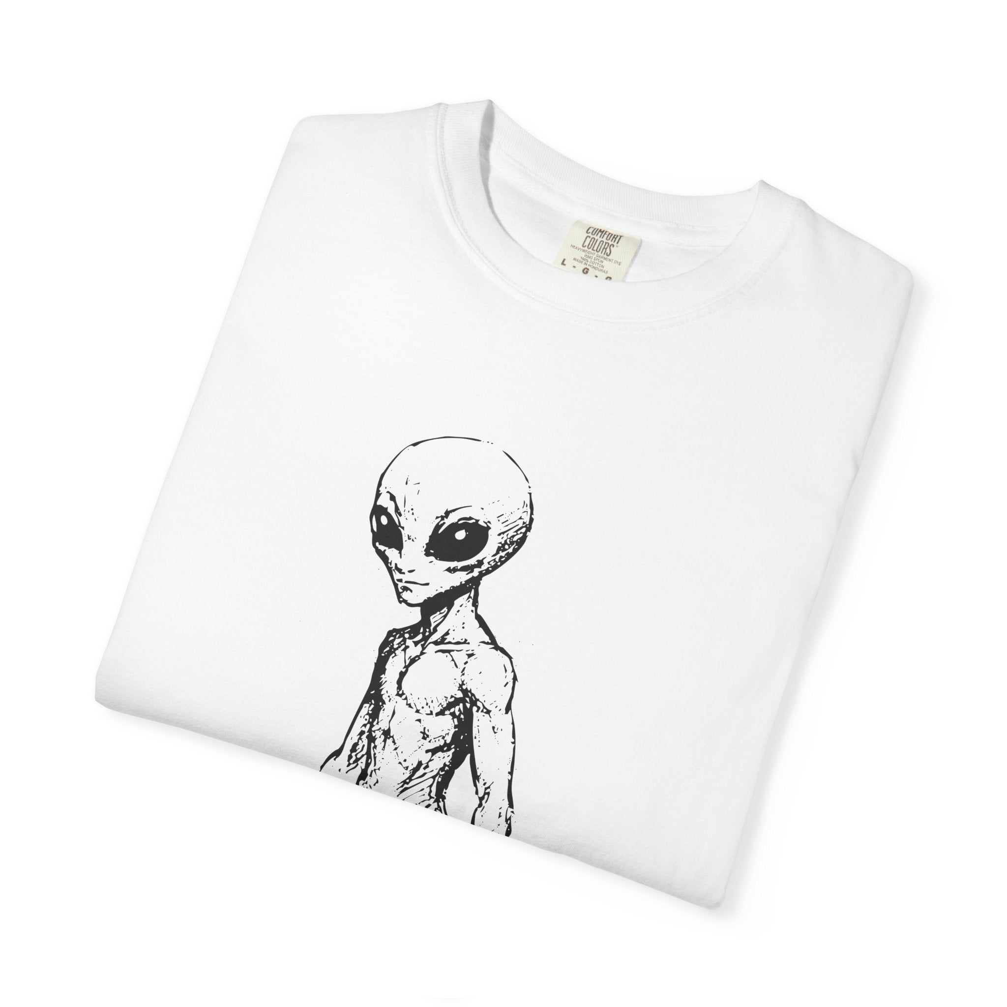 Alien Greys Graphic T-Shirt — "The Quiet Partners" Illustrated Tee