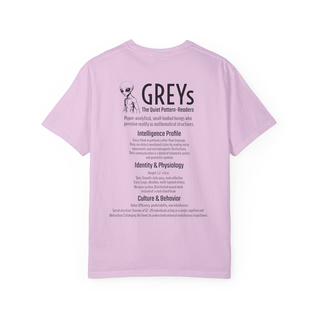 Alien Greys Graphic T-Shirt — "The Quiet Partners" Illustrated Tee