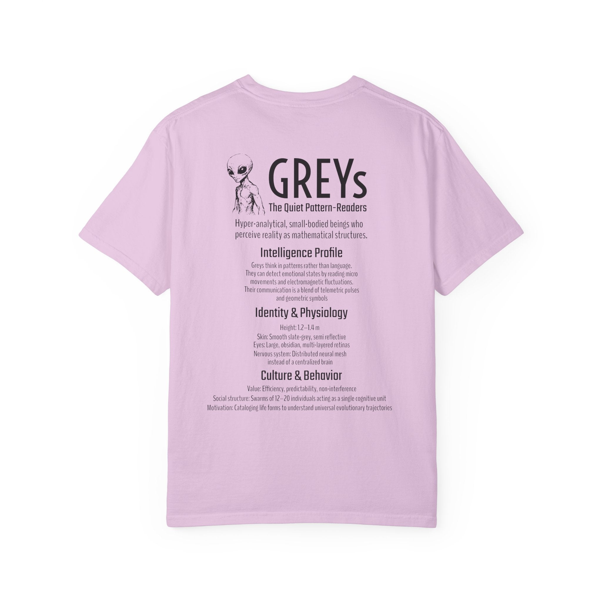 Alien Greys Graphic T-Shirt — "The Quiet Partners" Illustrated Tee