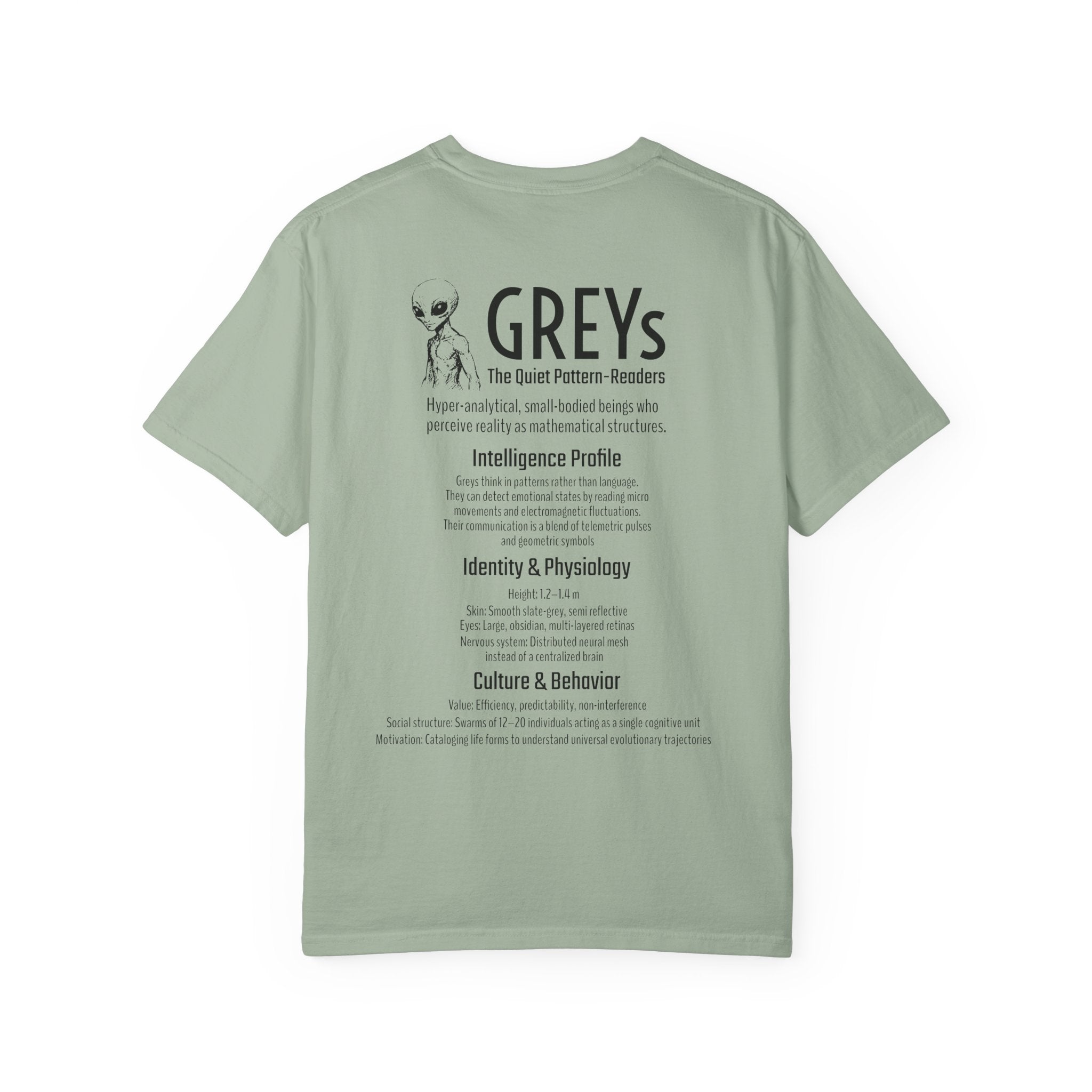 Alien Greys Graphic T-Shirt — "The Quiet Partners" Illustrated Tee