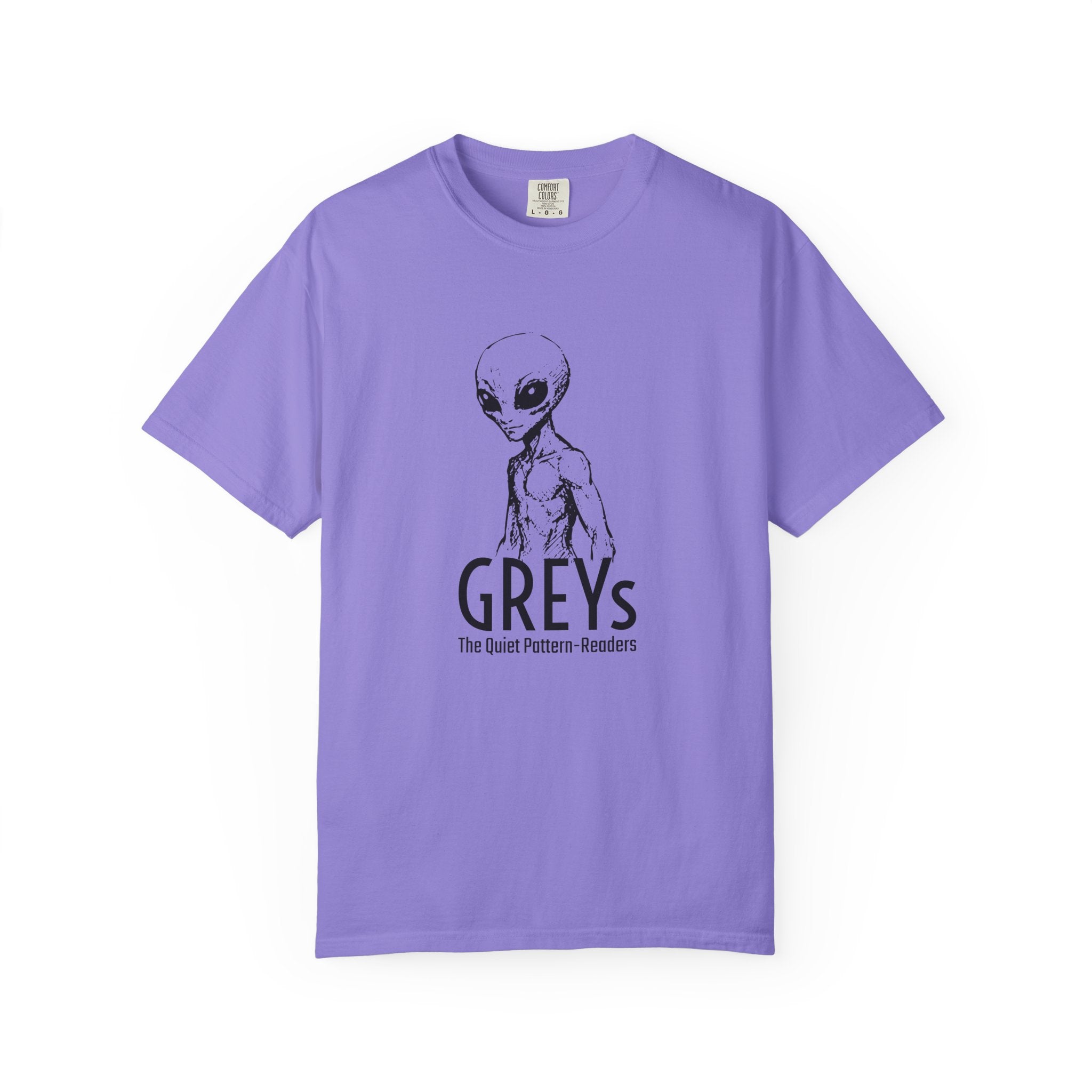 Alien Greys Graphic T-Shirt — "The Quiet Partners" Illustrated Tee