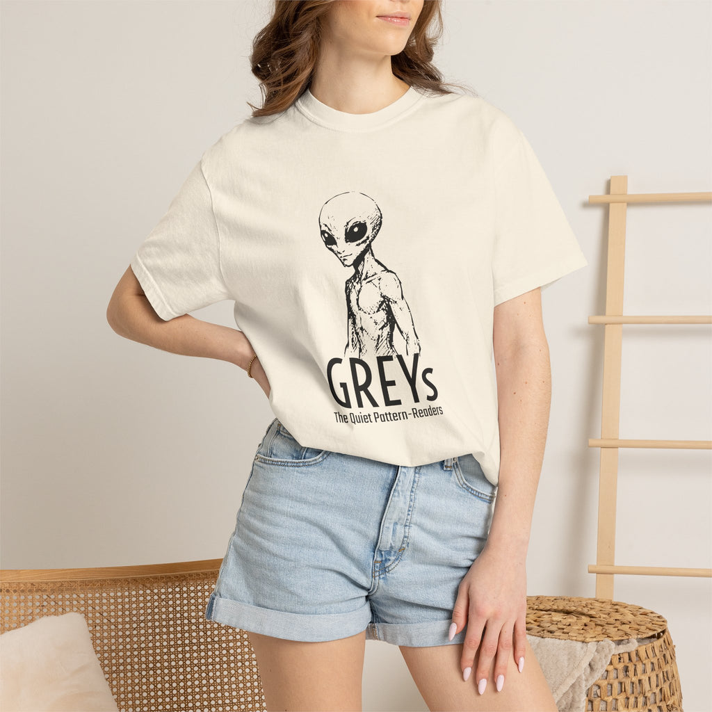 Alien Greys Graphic T-Shirt — "The Quiet Partners" Illustrated Tee