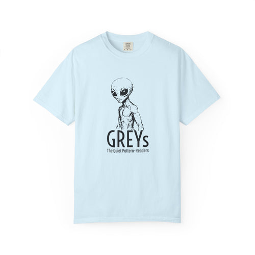 Alien Greys Graphic T-Shirt — "The Quiet Partners" Illustrated Tee
