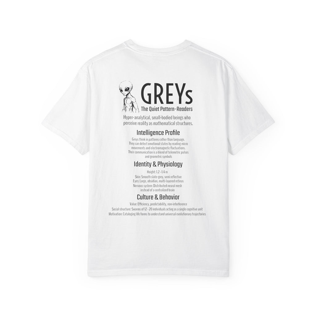 Alien Greys Graphic T-Shirt — "The Quiet Partners" Illustrated Tee