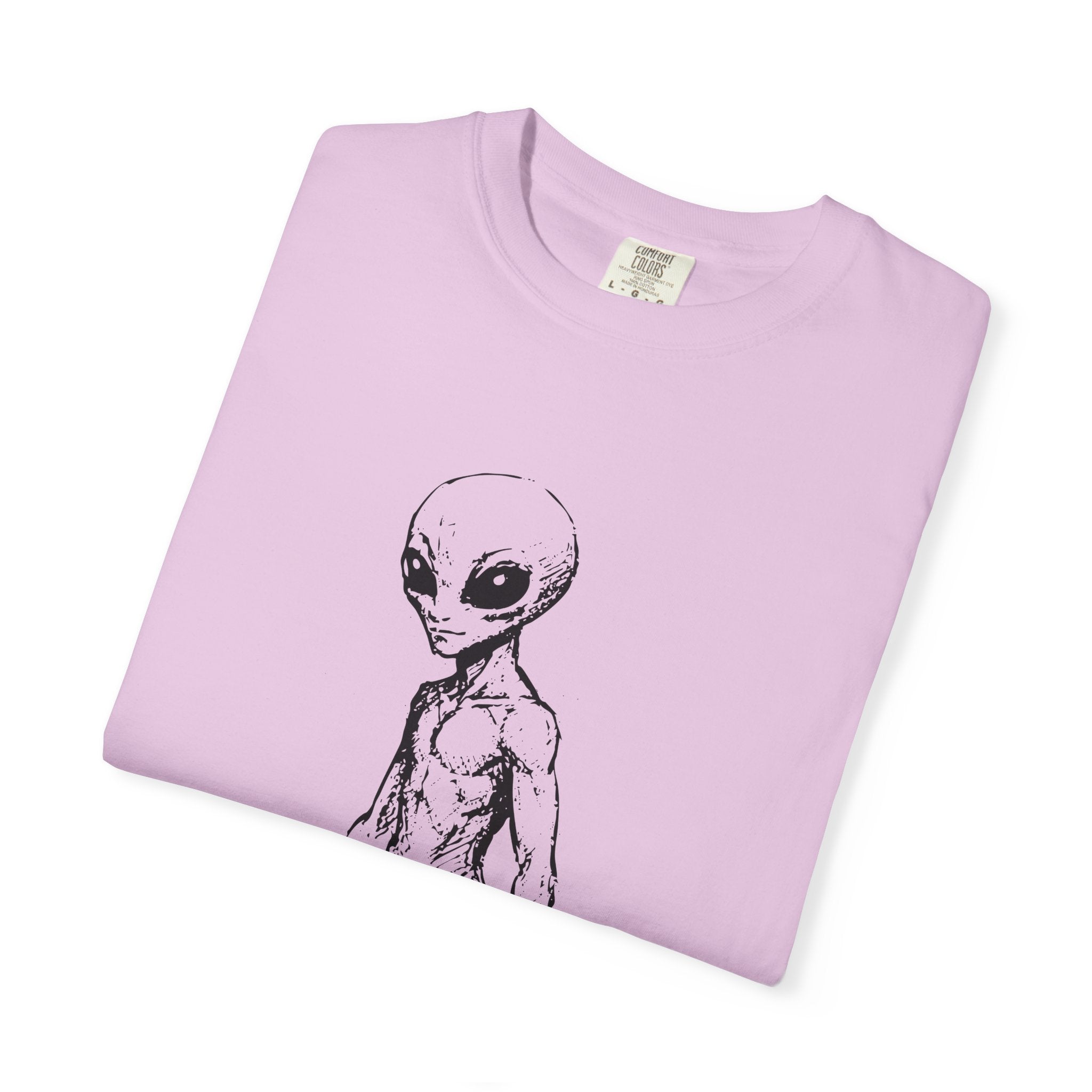 Alien Greys Graphic T-Shirt — "The Quiet Partners" Illustrated Tee
